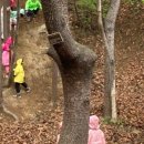 숲속햇살어린이집 이미지