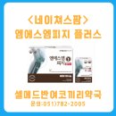 셀엠에스엠 이미지