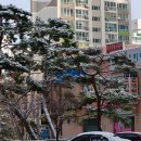 부송동-09 이미지