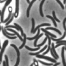 원전슈퍼 이미지