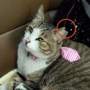 주안1동 행정복지센터 이미지