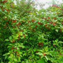 세용농장 이미지