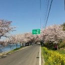 노량 해안도로길 이미지