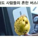 애월전당포