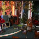 달뜨는언덕 이미지