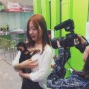 스케치멍 이미지
