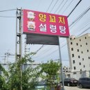찐배네양꼬치설렁탕