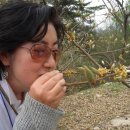 김유정사랑방 Daum카페