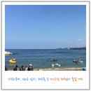 울진 나곡어촌체험마을 이미지