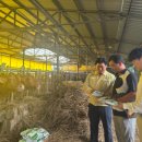 연일축산 이미지