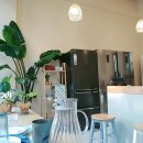 그레이스 키친 이미지