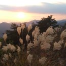 백두대간 15구간(보충구간)...2008.10.25~26일...추풍령~큰재...영남알프스