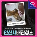 현대연립 | 안산 보일러배관청소 단원구 고잔동 구옥 연립주택 수도녹물 배관청소 (가스보일러난방)