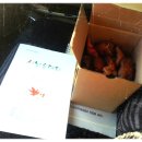 괴산명덕초등학교 이미지