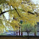 전주한옥마을 골목길 이미지