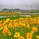 대전천북로 이미지