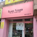 엘라임플라워 목동꽃집 꽃바구니 후기