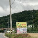 산북소나무막국수