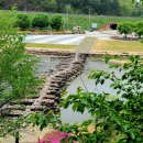 천년 행정사 이미지