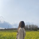 대왕암공원미로원화장실 이미지