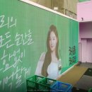 처음처럼포차 네이버블로그