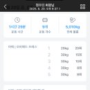 레디 바디 이미지