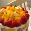 금정 | 산본케이크 동물성 생과일 케이크 맛있는 군포케이크 제이델링 산본금정점 후기