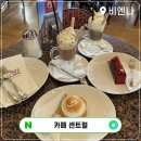 카페 연주 | 오스트리아 빈 여행 비엔나 카페 센트럴 후기 및 피아노 연주 시간