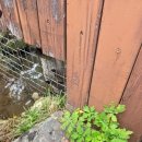 화천군수달연구센터 | 강원도 화천 수달길_한국수달연구센터