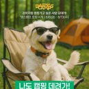 위드댕댕이