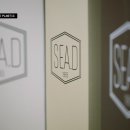 씨드(SEA.D) 이미지