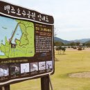 백조도래지 네이버블로그