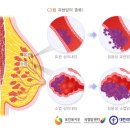 천보당 이미지