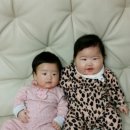 약산정일