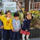 사우촌공원 Daum카페