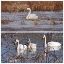 합덕수리민속박물관 이미지