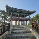서천 마량리 동백나무 숲 이미지