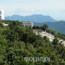 열정 이미지