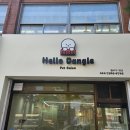 헬로우 댕글 이미지