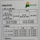 원 실내테니스장 네이버블로그