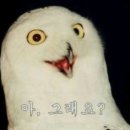 송림원 이미지