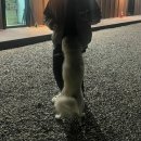 풍경소리 | [공지] [정읍캠핑] 풍경소리캠핑장 옥정호뷰 D6후기 서이추환영