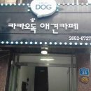 센스짱