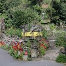 에코공원 | 제주 환상숲 곶자왈공원 에코힐링여행