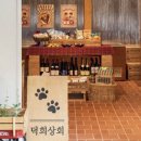 스테이포레스트 이미지