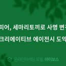 마리에이전시 이미지