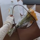 슬로우데일리