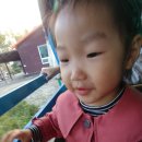 담희목장 네이버블로그