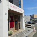 하라 | 명지 당일 레터링케이크 부산 도시락케이크 하라케이크 내돈내산 후기