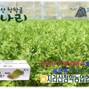 웅비협동조합